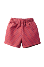 Pantalón Niño Fiesta